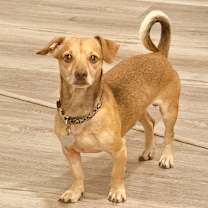 Thumbnail photo of Travis #3