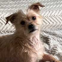 Thumbnail photo of Wilson #1