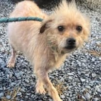 Thumbnail photo of Wilson #2