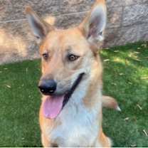 Thumbnail photo of 911 URGENT! Save Me Please #1