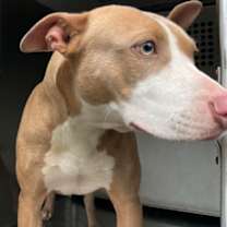 Thumbnail photo of Vera #3