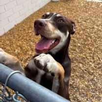 Thumbnail photo of Beans #2