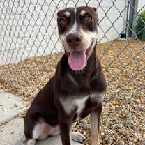 Thumbnail photo of Beans #3