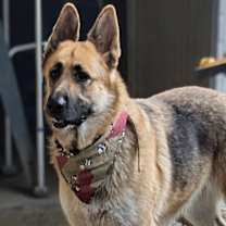 Thumbnail photo of Lucky #3