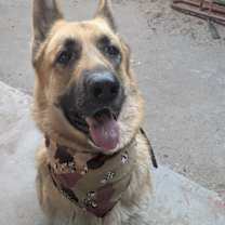 Thumbnail photo of Lucky #4