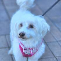 Thumbnail photo of Patsy #4