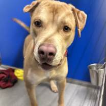 Thumbnail photo of Bear #2