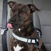 Thumbnail photo of Rigsby #3