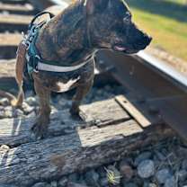 Thumbnail photo of Rigsby #3