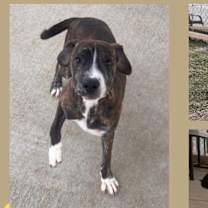 Thumbnail photo of Clark Carter #1