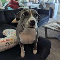 Thumbnail photo of Winter #1