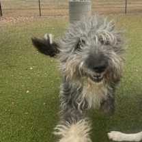 Thumbnail photo of Tilly Bean #1