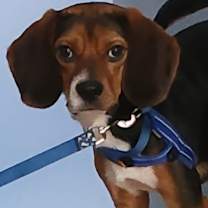 Thumbnail photo of Bubbles #1