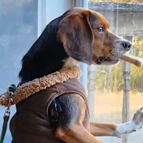 Thumbnail photo of Bubbles #3