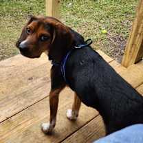 Thumbnail photo of Bubbles #4