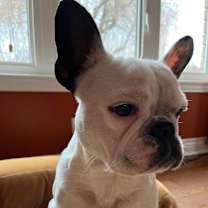 Thumbnail photo of Luna #3