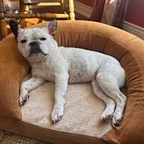 Thumbnail photo of Luna #4