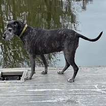 Thumbnail photo of TT #1