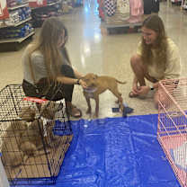 Thumbnail photo of Abella #2