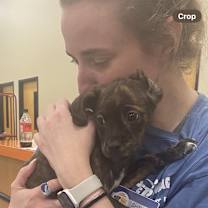 Thumbnail photo of Athena #1