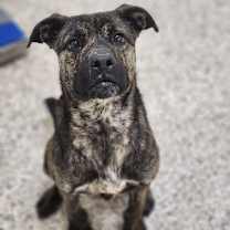 Thumbnail photo of Rochelle #1