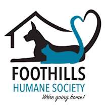 Thumbnail photo of Pita #2