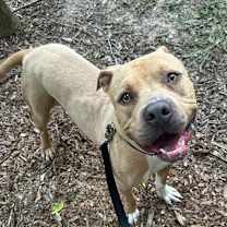 Thumbnail photo of Tater Keg #2