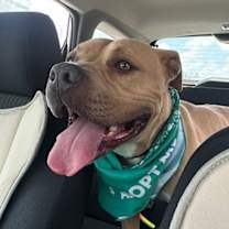 Thumbnail photo of Tater Keg #3