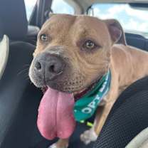 Thumbnail photo of Tater Keg #4