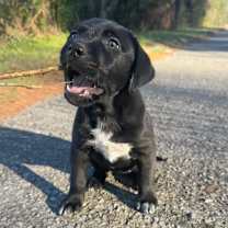 Thumbnail photo of Cowgirl #1