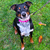 Thumbnail photo of Crosby #2