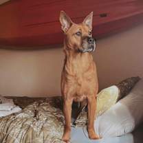 Thumbnail photo of Sawyer #4