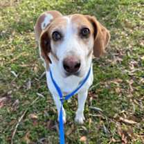 Thumbnail photo of Lorenz #2