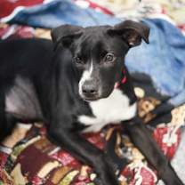 Thumbnail photo of Sarah #2