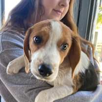 Thumbnail photo of Nacho #1