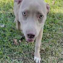 Thumbnail photo of Laverne #1