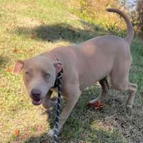 Thumbnail photo of Laverne #2