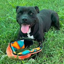 Thumbnail photo of Diamond  #4