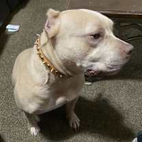 Thumbnail photo of Grace #2