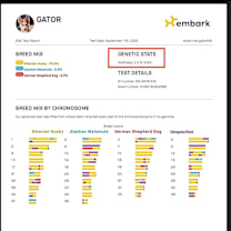 Thumbnail photo of Gator #3