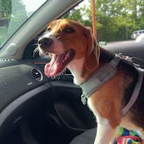 Thumbnail photo of Wrenley #2