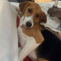 Thumbnail photo of Wrenley #3