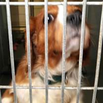 Thumbnail photo of Joseph #2