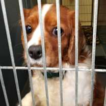 Thumbnail photo of Joseph #3