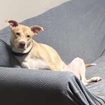 Thumbnail photo of Rhae #3