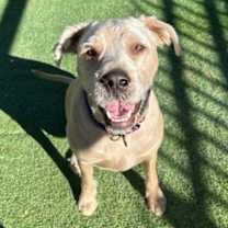 Thumbnail photo of Bisbee #1