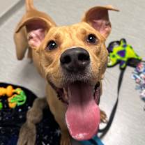 Thumbnail photo of Tate #2