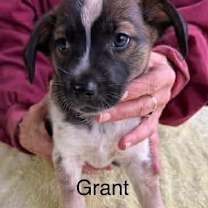 Thumbnail photo of Grant  #2