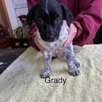 Thumbnail photo of Grady #2