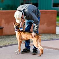 Thumbnail photo of Theo #3